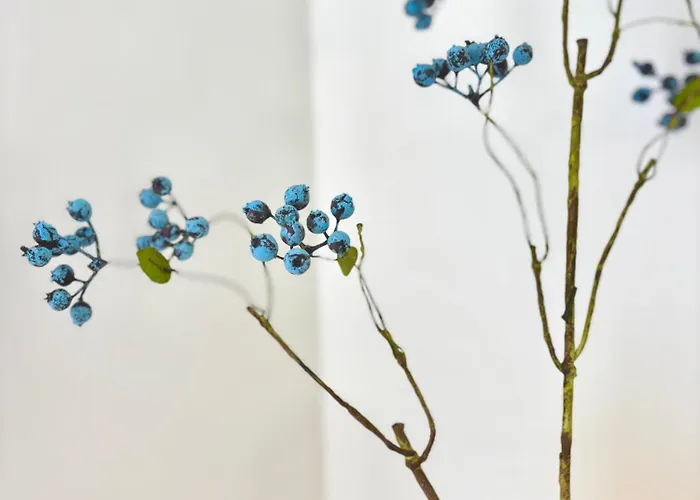 Luxurious Villa With Swimming Pool Villa